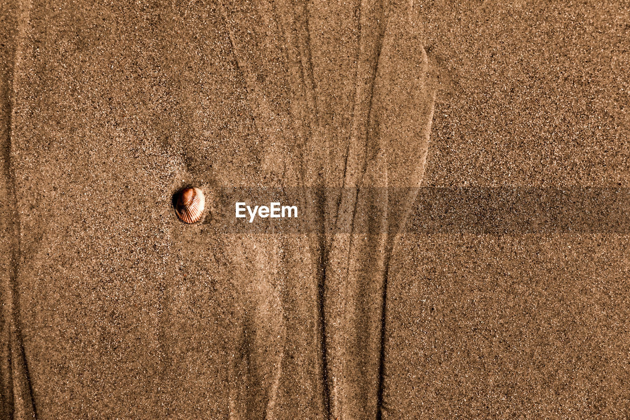 Art created by nature, artsy tideway in the sand on the beach