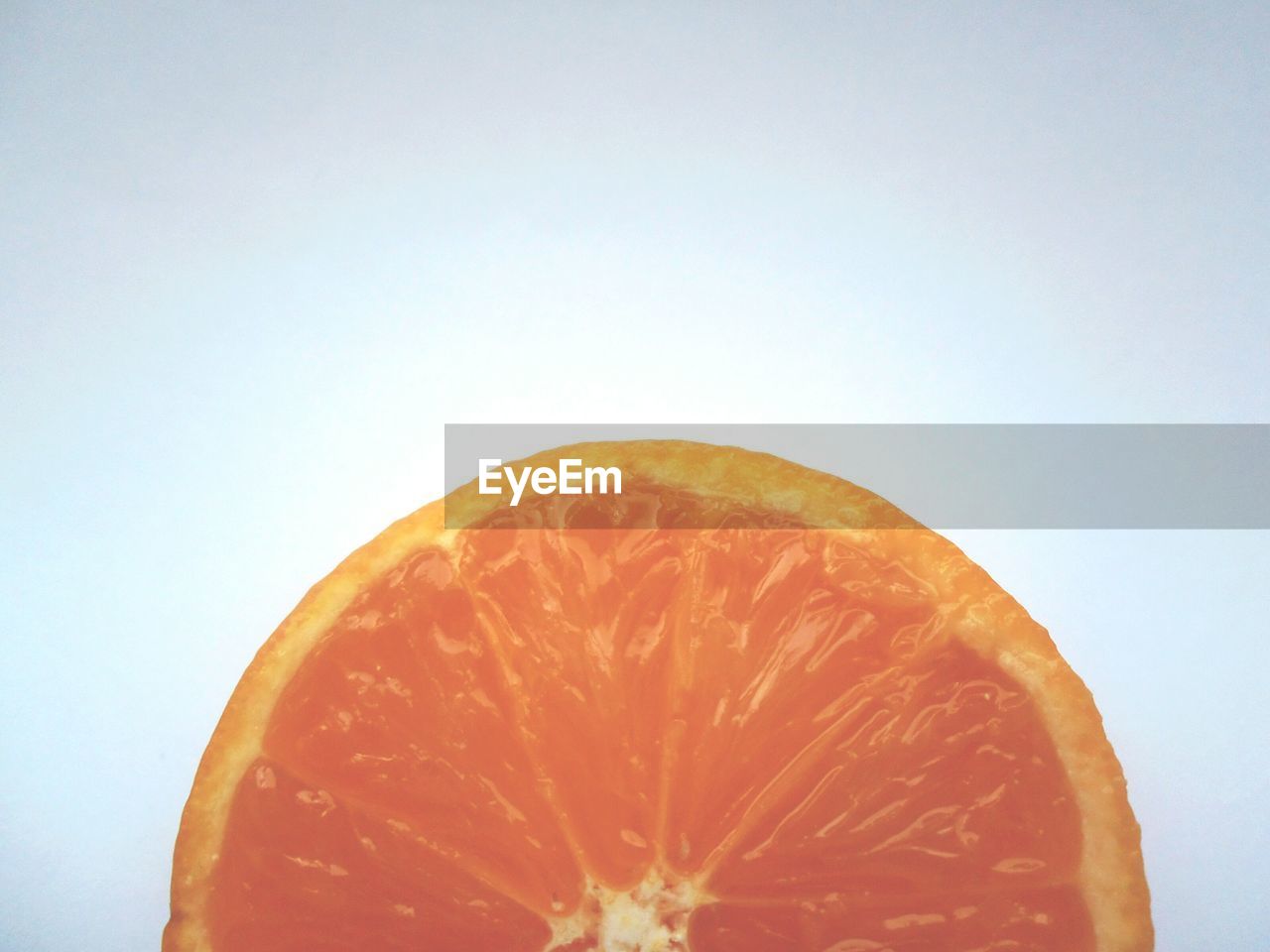 Close-up of orange against white background