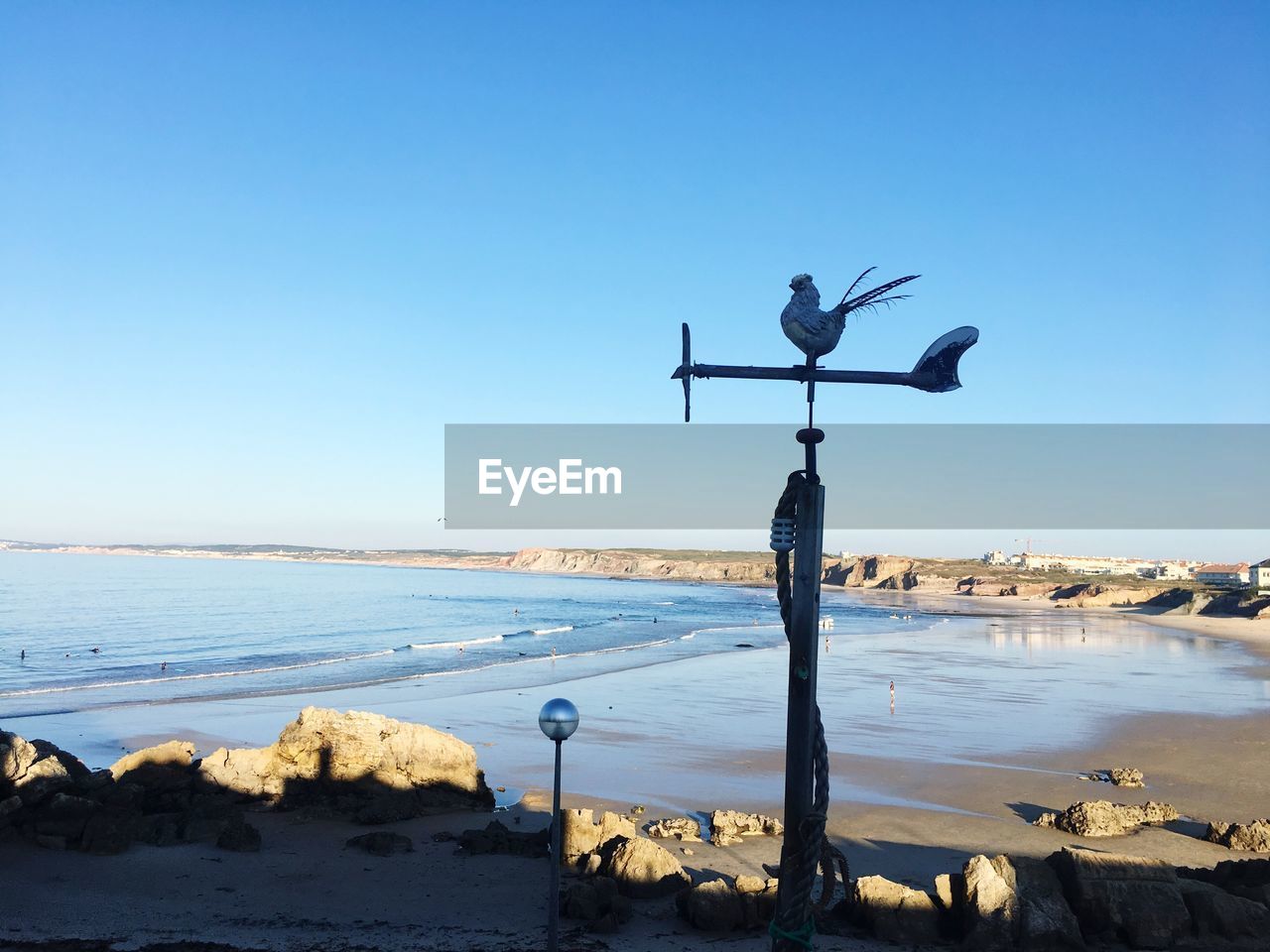 SEAGULLS ON BEACH AGAINST CLEAR SKY