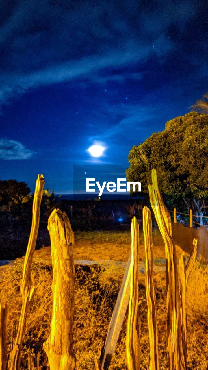 SCENIC VIEW OF YELLOW LIGHTS AGAINST SKY