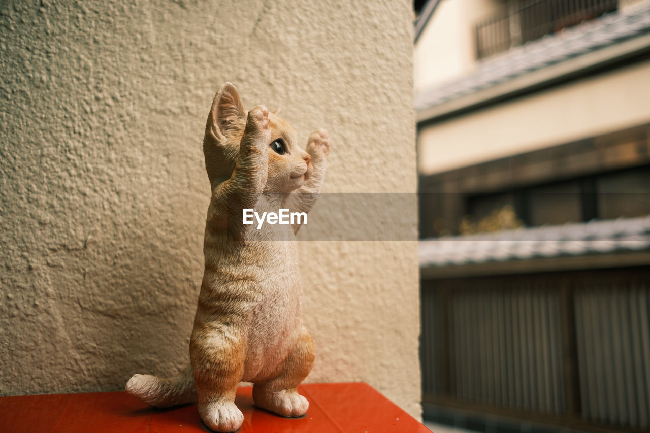 Toy cat looking away against wall