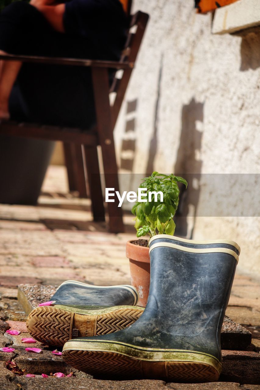 Potted plant and boots after gardening 