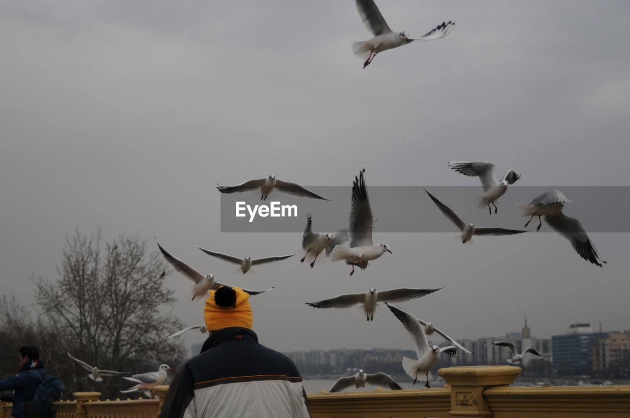 LOW ANGLE VIEW OF BIRDS FLYING OVER AGAINST SKY