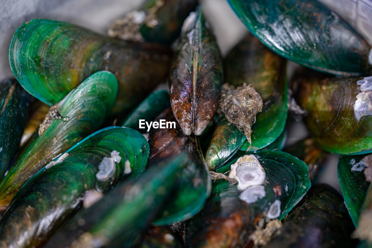 FULL FRAME SHOT OF ONIONS AND STONES