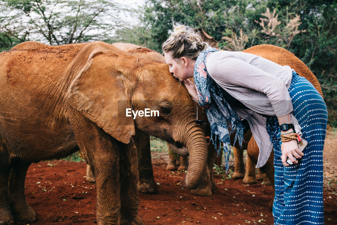 Side view of woman kissing baby elephant