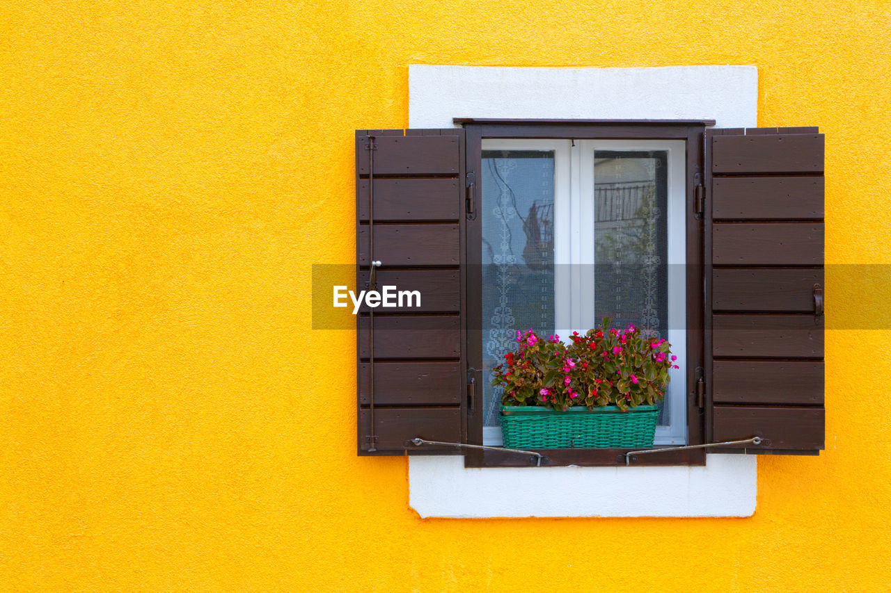POTTED PLANT ON WINDOW OF YELLOW WALL