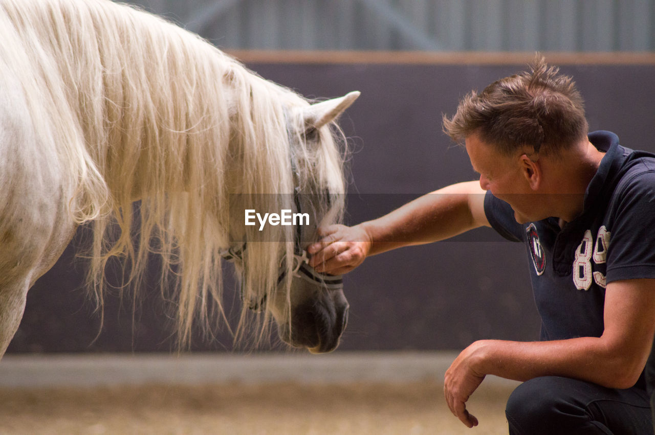 Man touching white horse in stable