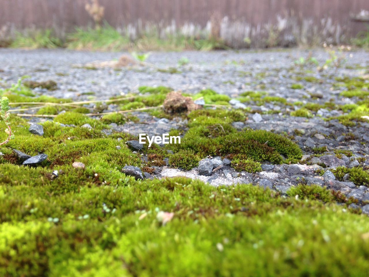 SURFACE LEVEL OF FLOWING WATER ON FIELD