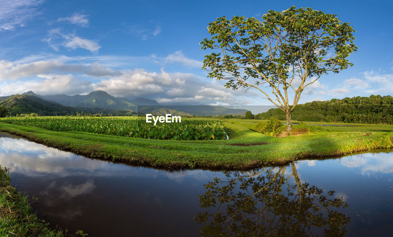 SCENIC VIEW OF LAKE AND GREEN LANDSCAPE AGAINST SKY