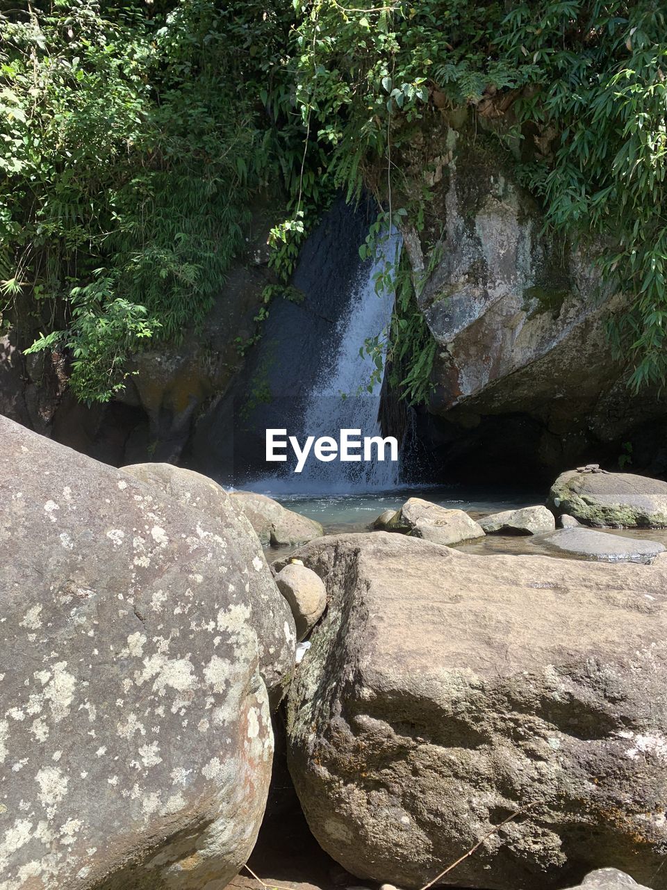 SCENIC VIEW OF ROCKS AT FOREST