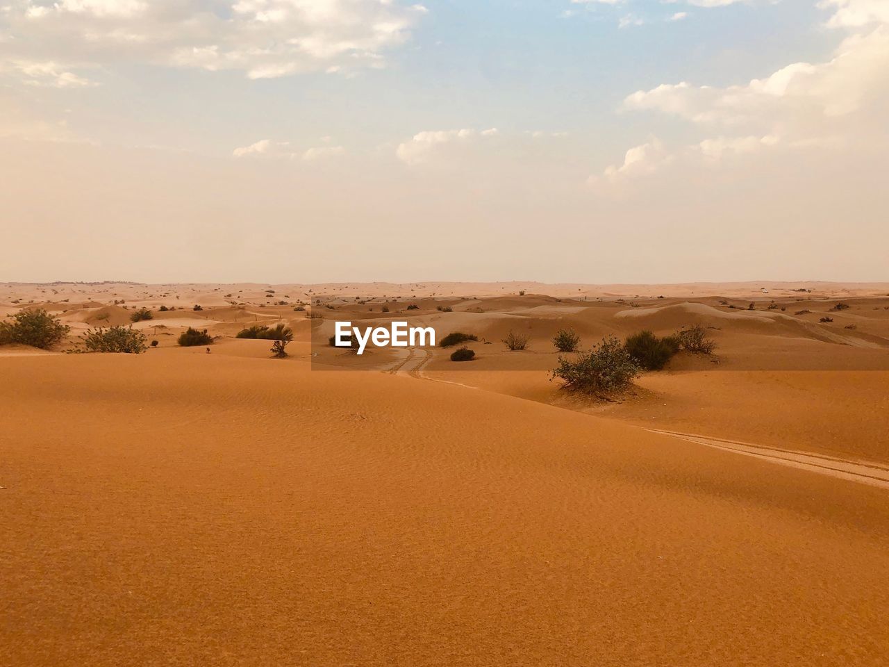 Scenic view of desert against sky