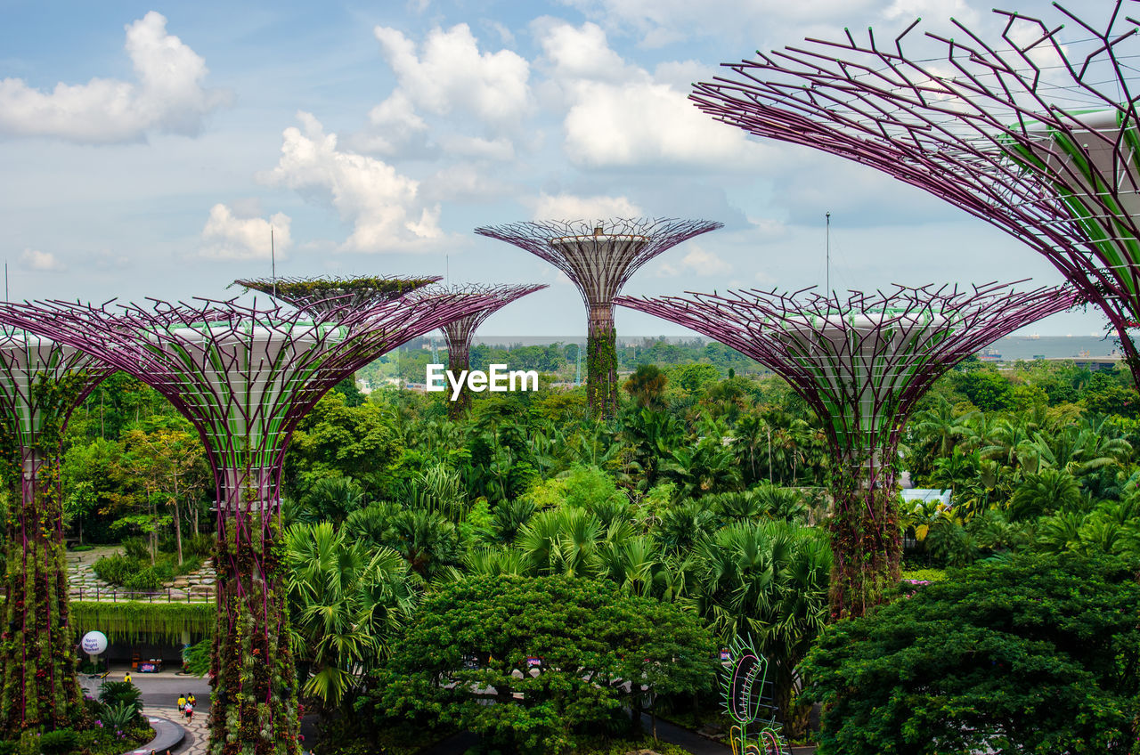 PLANTS AND TREES IN PARK