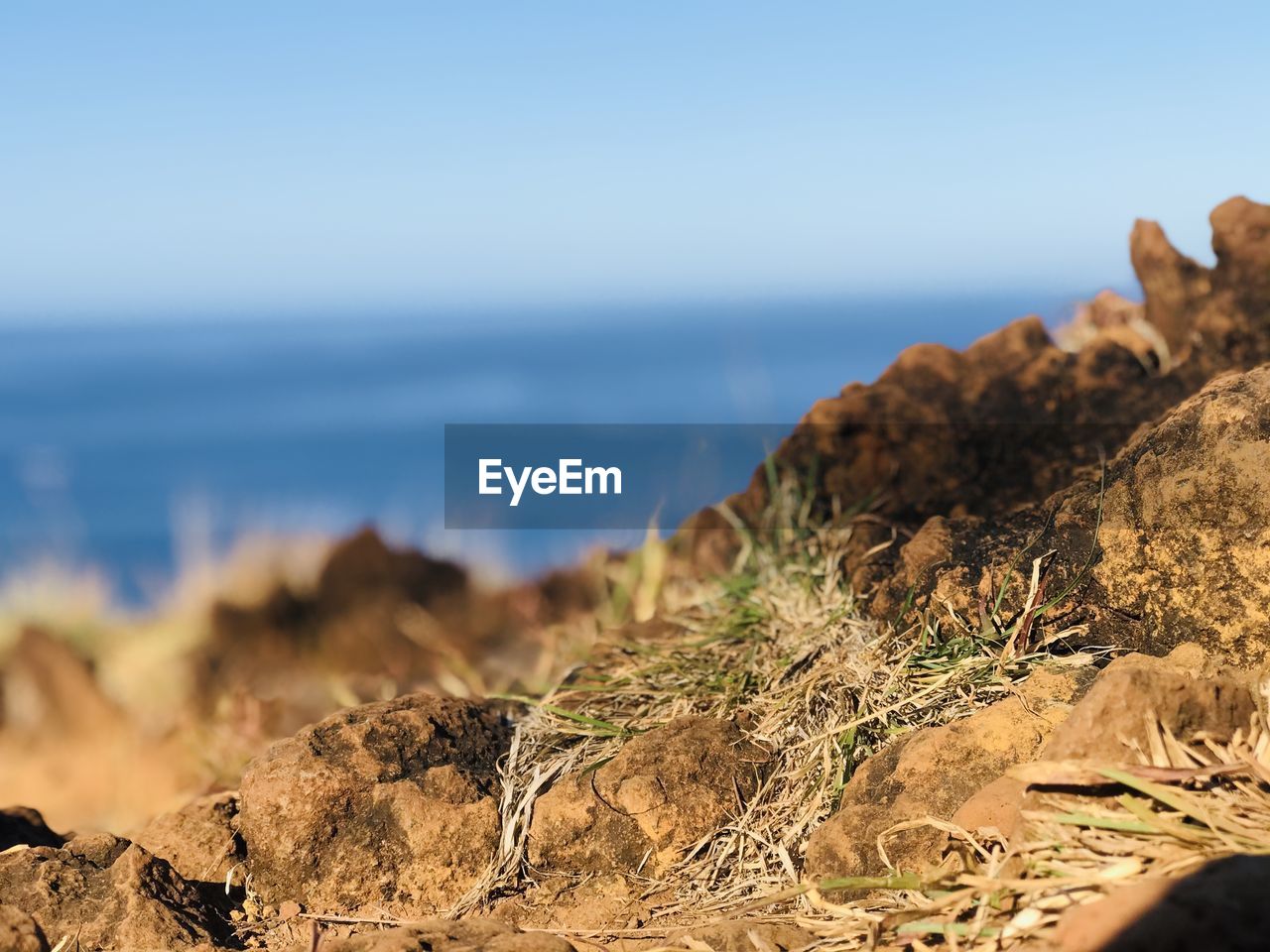 sea, rock, land, coast, nature, water, sky, natural environment, beach, scenics - nature, sand, landscape, terrain, ocean, beauty in nature, shore, cliff, no people, environment, tranquility, travel destinations, day, clear sky, travel, outdoors, plant, tranquil scene, horizon, mountain, focus on foreground, blue, sunlight, geology, horizon over water, wilderness, coastline, tourism, sunny