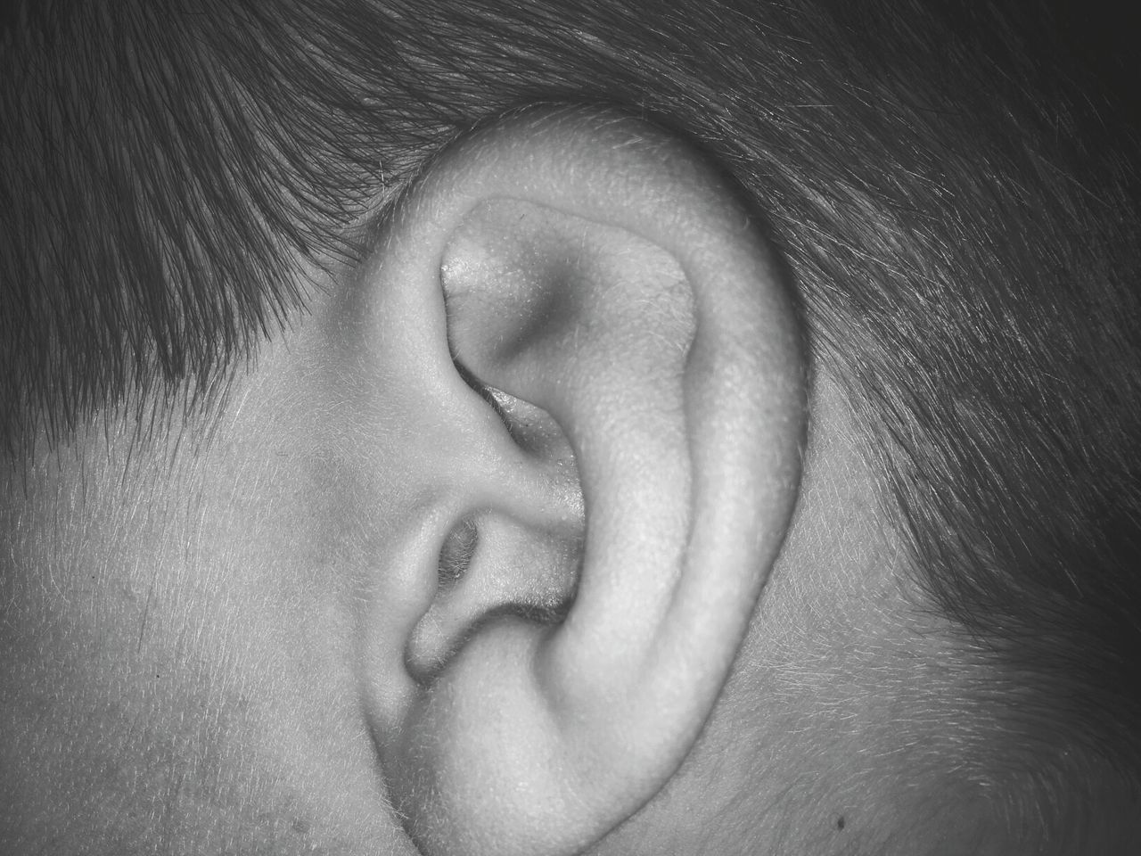 Close-up of human ear