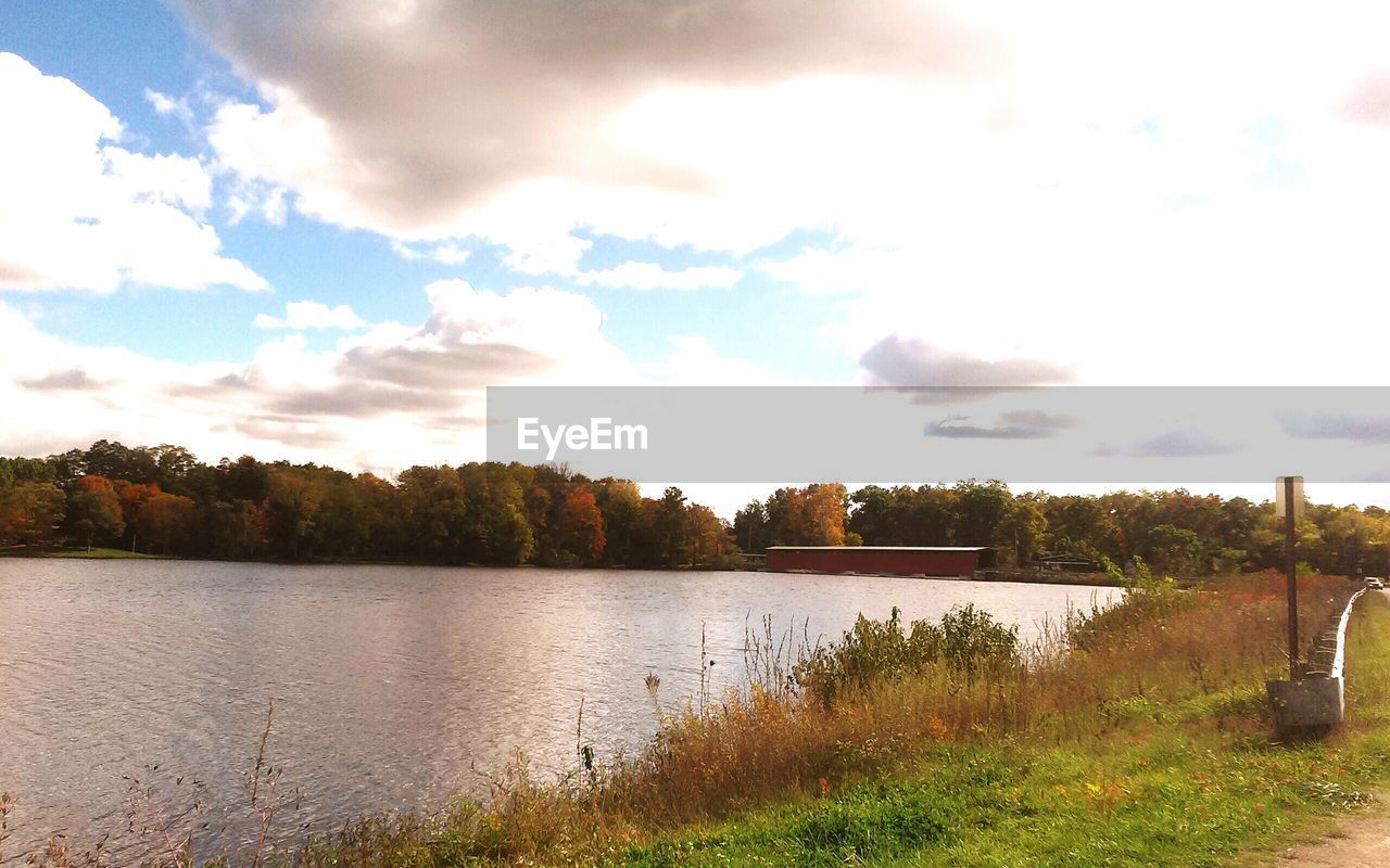 VIEW OF CALM LAKE AGAINST TREES