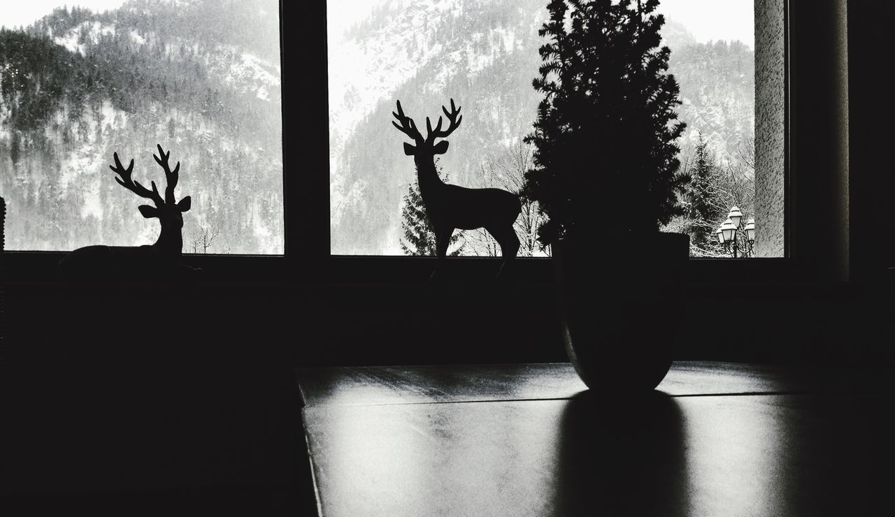Silhouette potted plant with deer statues at home