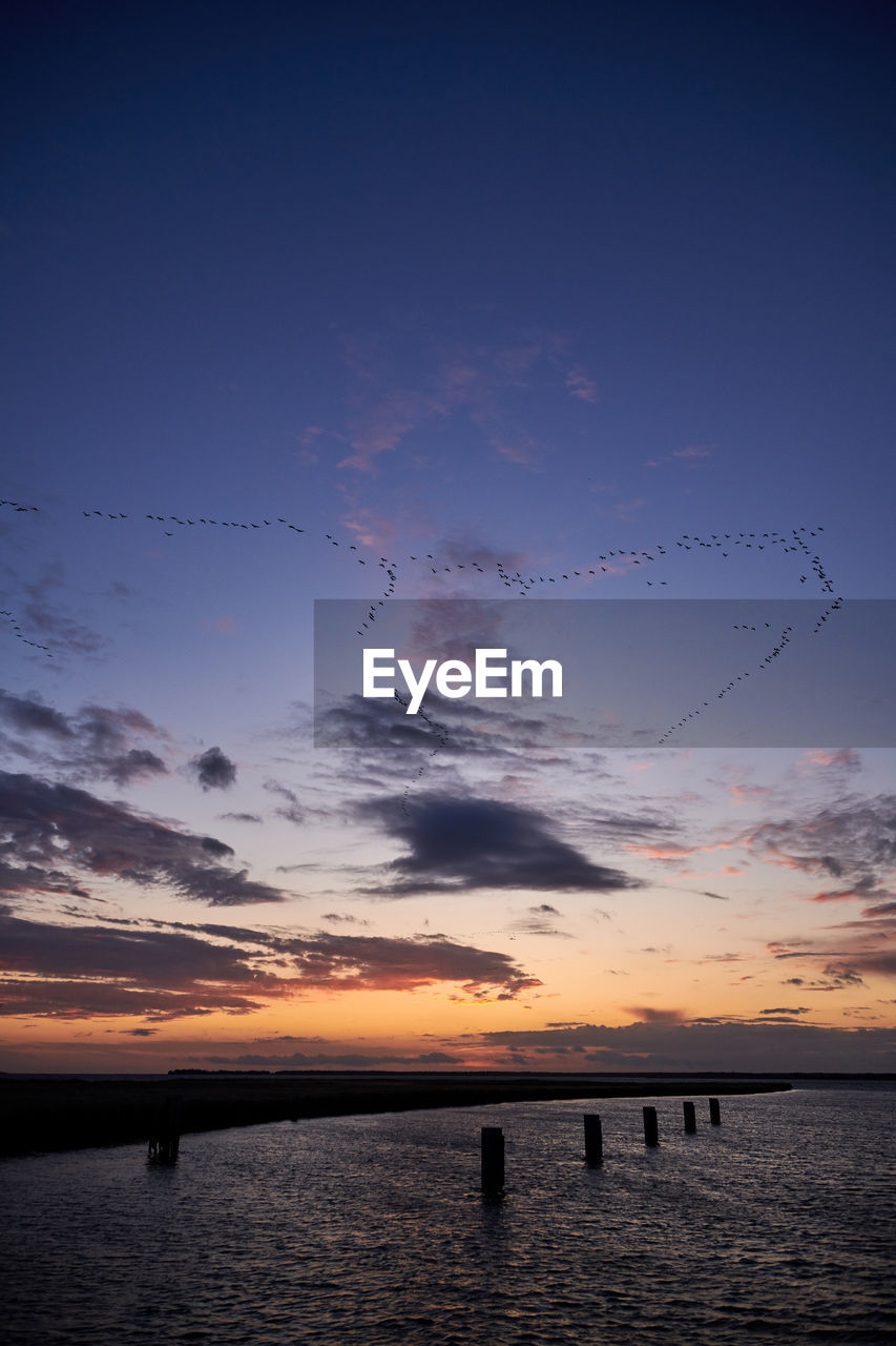 SILHOUETTE BIRDS ON SEA AGAINST SKY DURING SUNSET