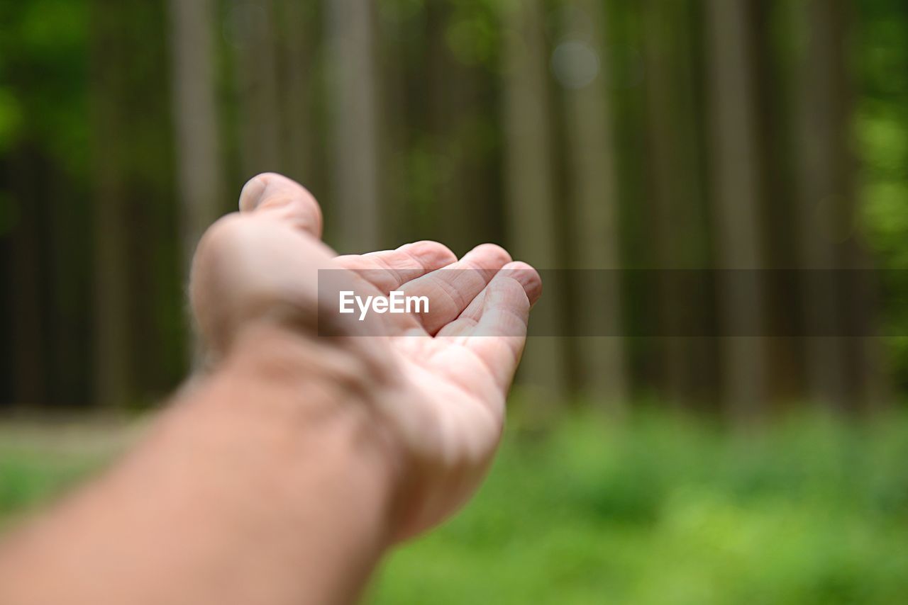 Cropped hand against trees