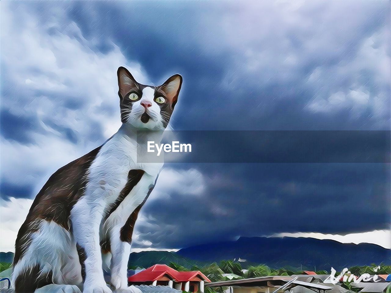 PORTRAIT OF WHITE CAT AGAINST SKY