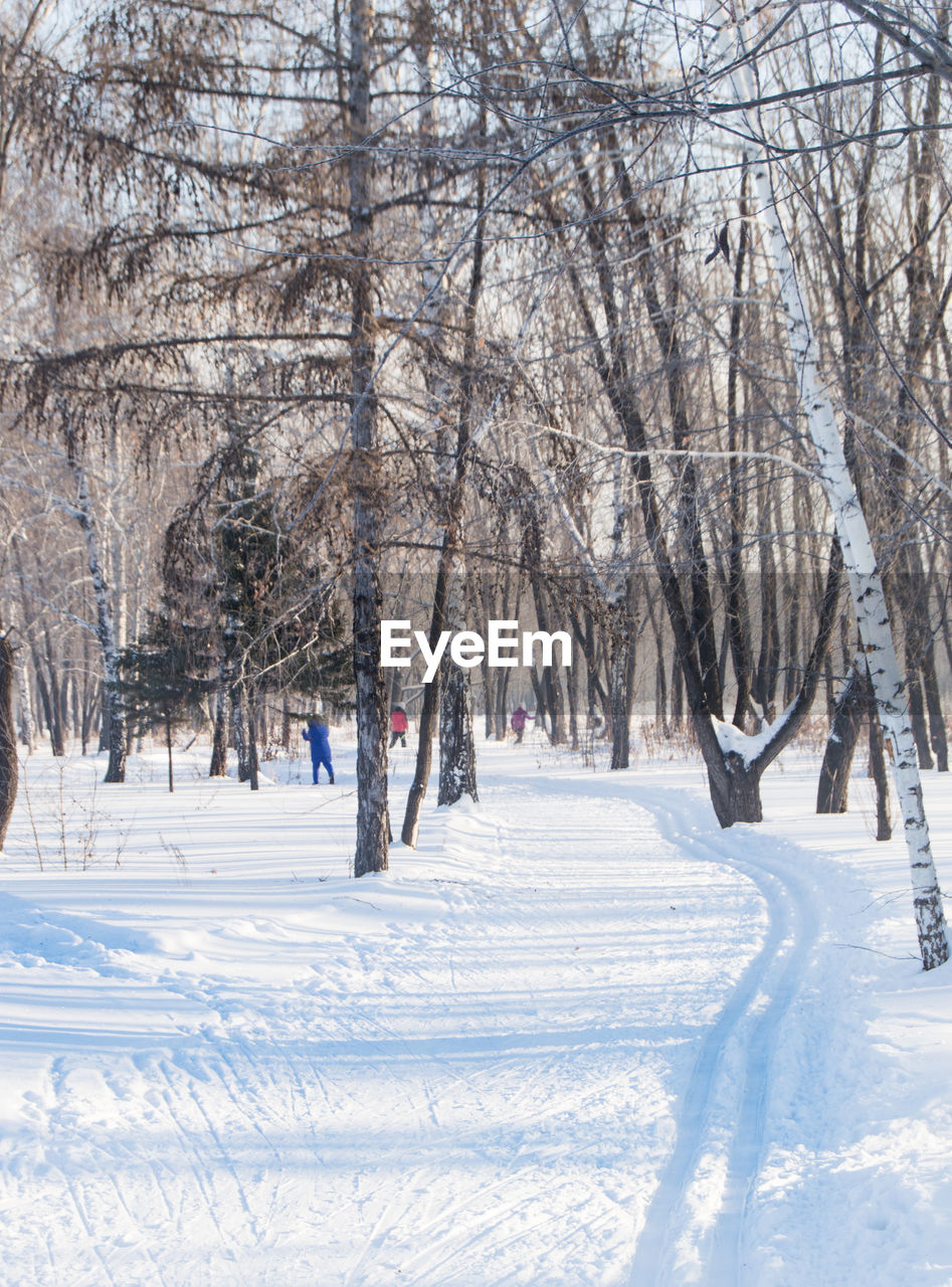 Ski track in the winter park. the concept of nature, healthy lifestyle, vertical frame.