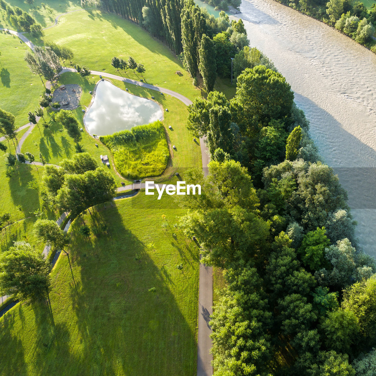 HIGH ANGLE VIEW OF GREEN PLANTS ON LANDSCAPE