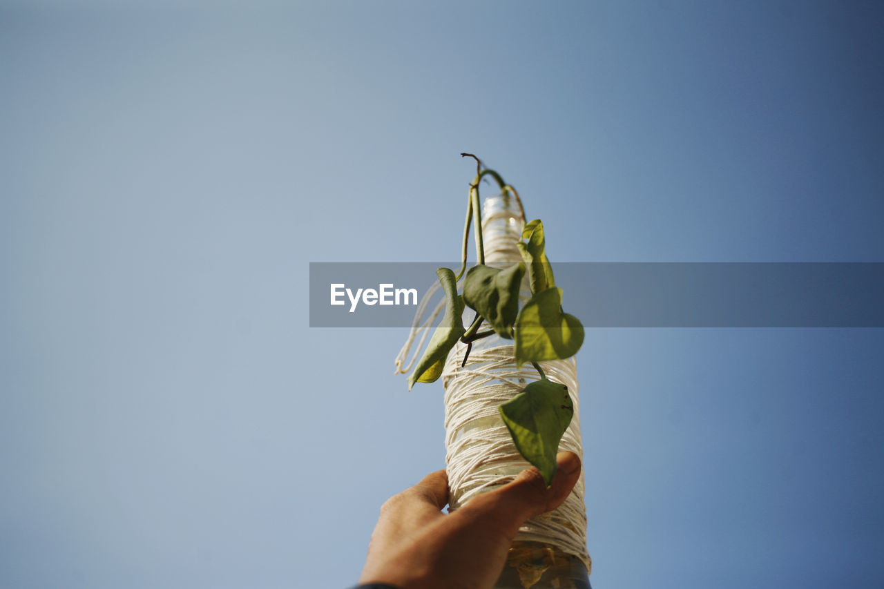 Low angle view of person holding vase bottle against clear sky