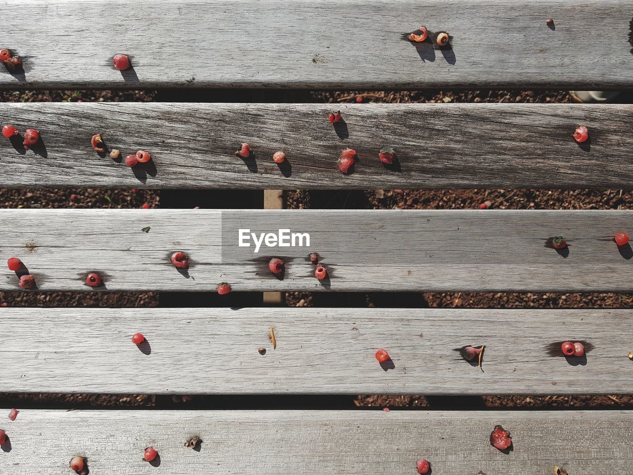 FULL FRAME SHOT OF WOOD ON GROUND