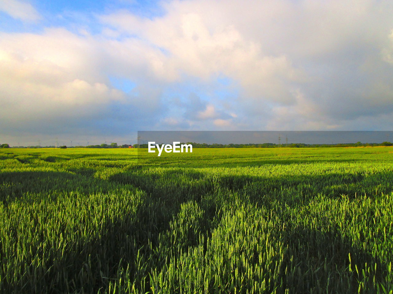 SCENIC VIEW OF FARM AGAINST SKY