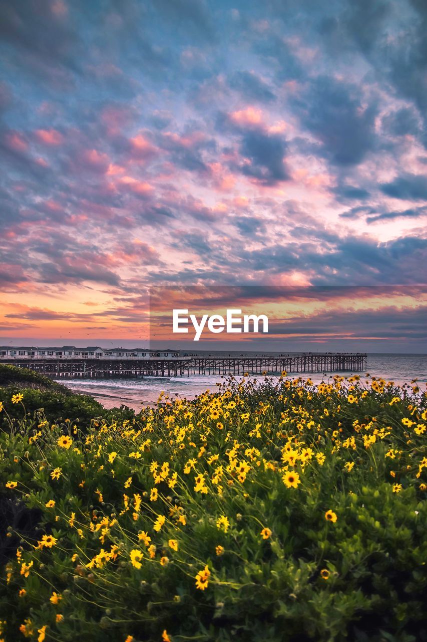 Scenic view of sea against cloudy sky during sunset