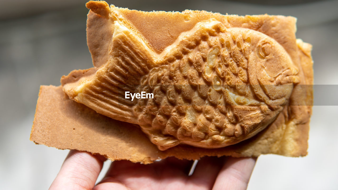 CROPPED IMAGE OF PERSON HOLDING BREAD