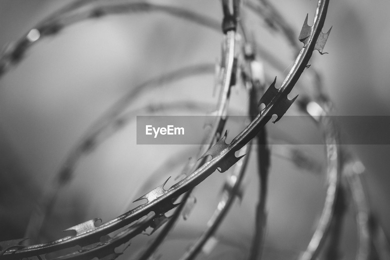 Detail shot of concertina wire against blurred background