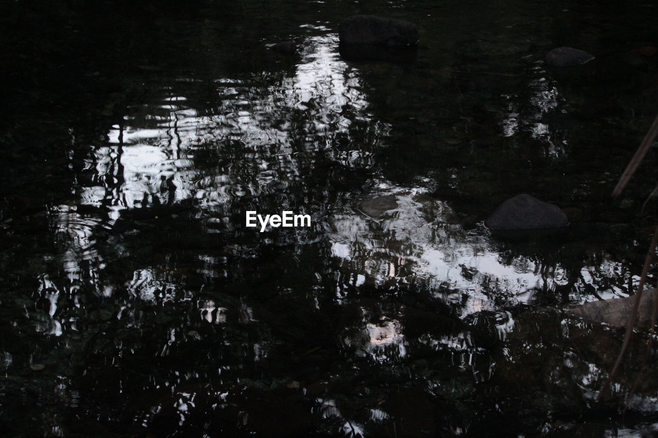 REFLECTION OF TREES ON LAKE