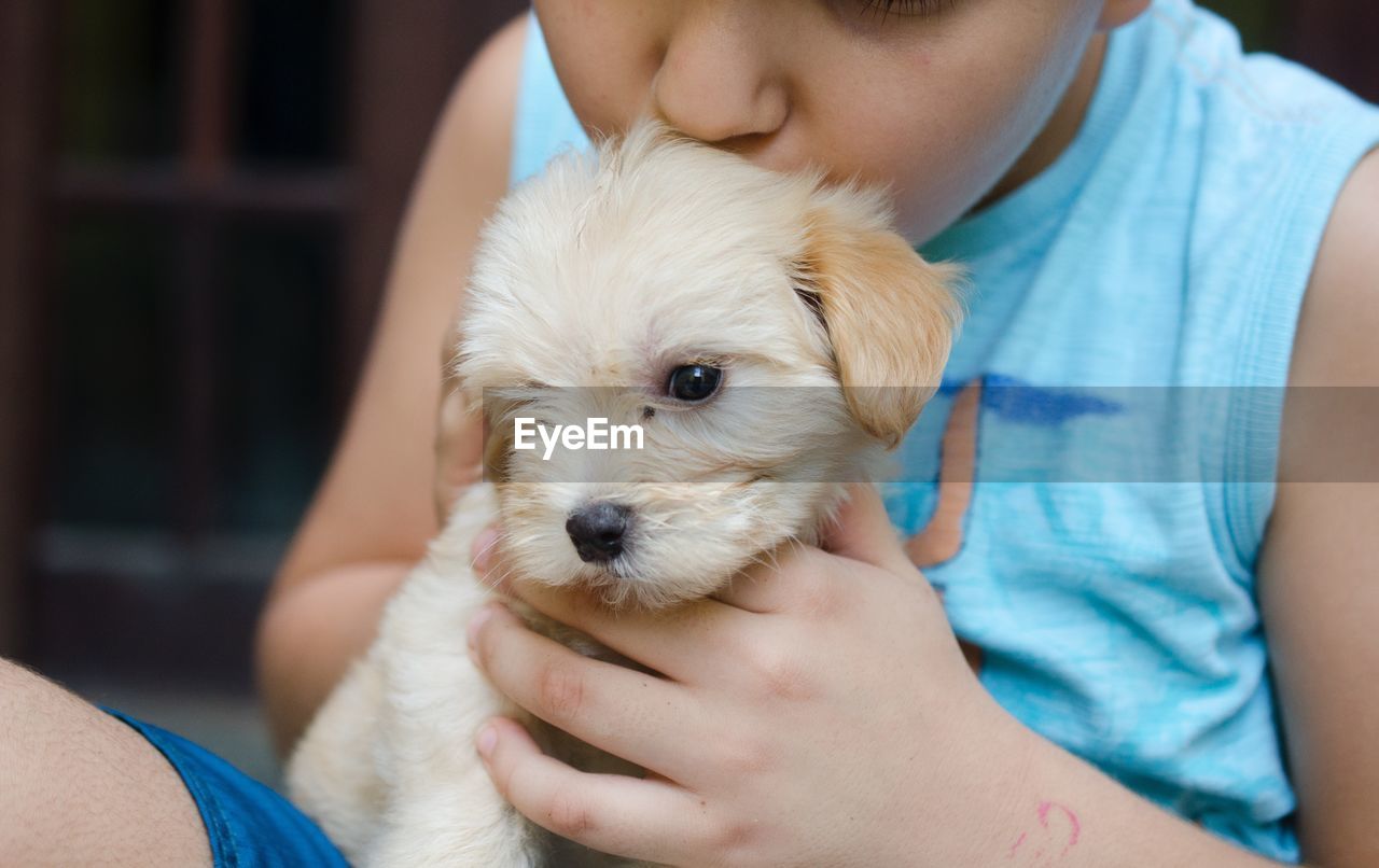 Close-up of cute boy holding puppy