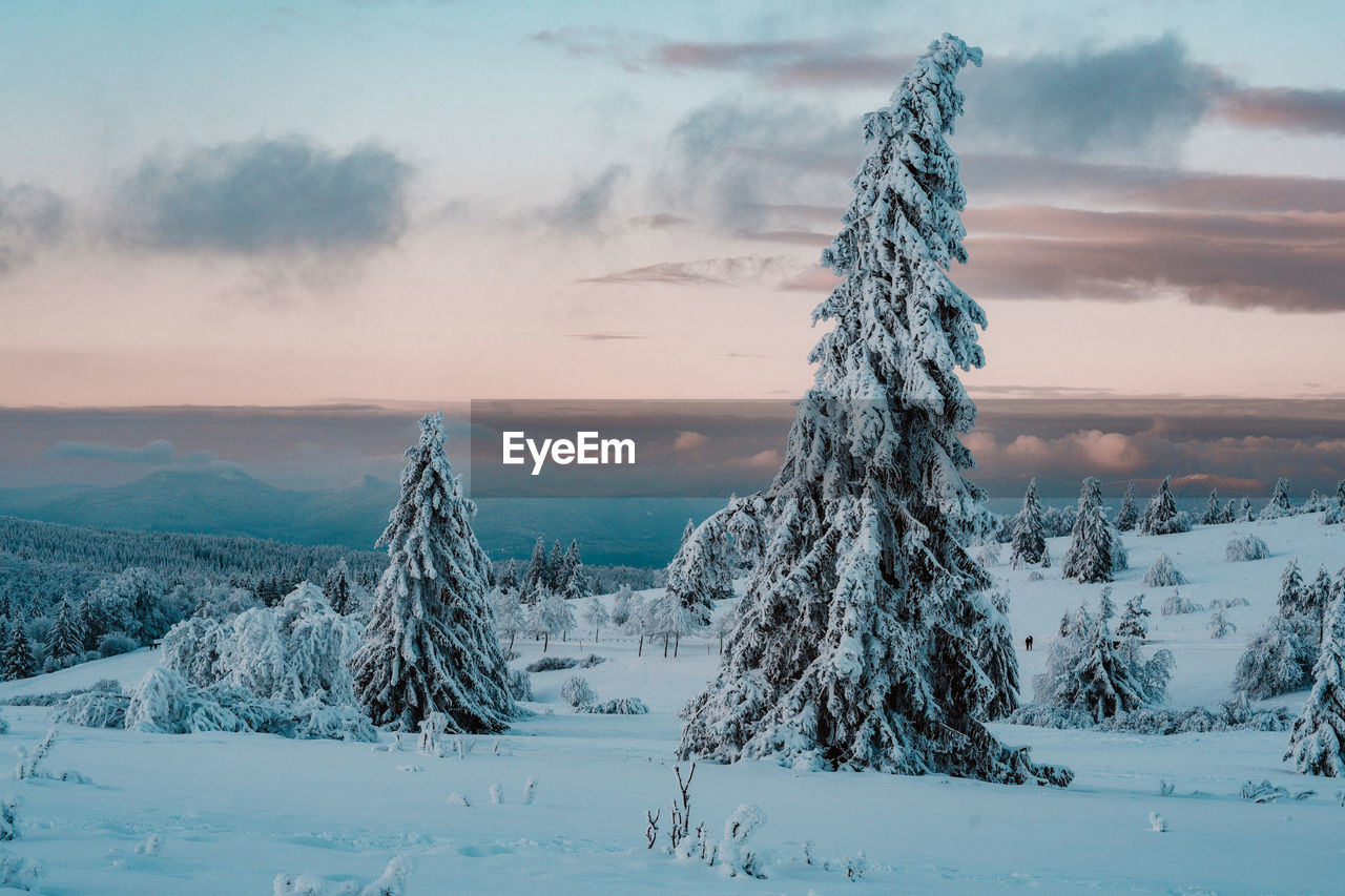 Scenic view of snow covered landscape against sky at sunset