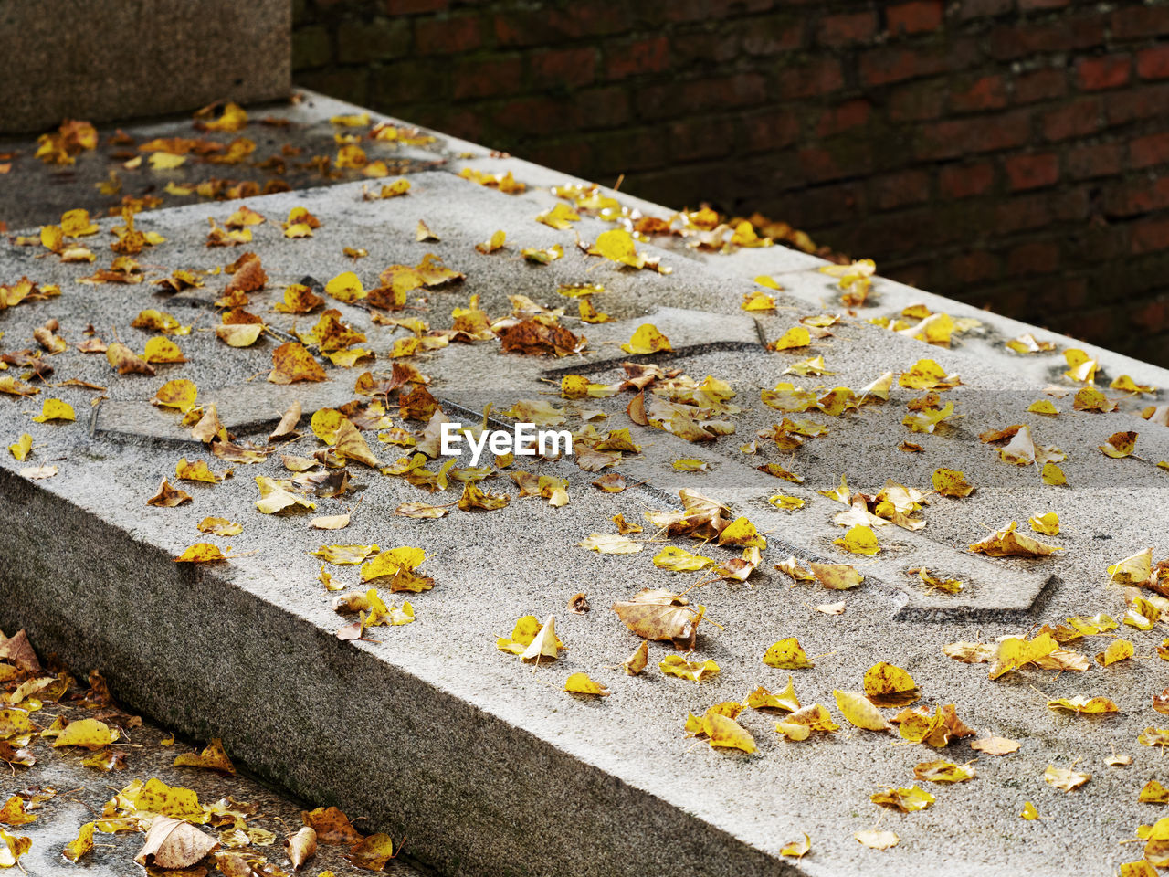 Thick granite stone with emossed cross covered with yellow lime leaves. gravestonein the cementary