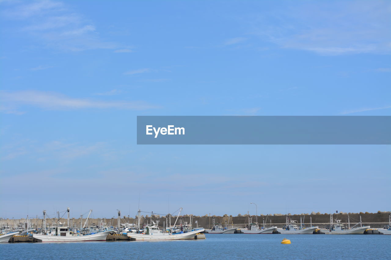 SAILBOATS MOORED IN HARBOR