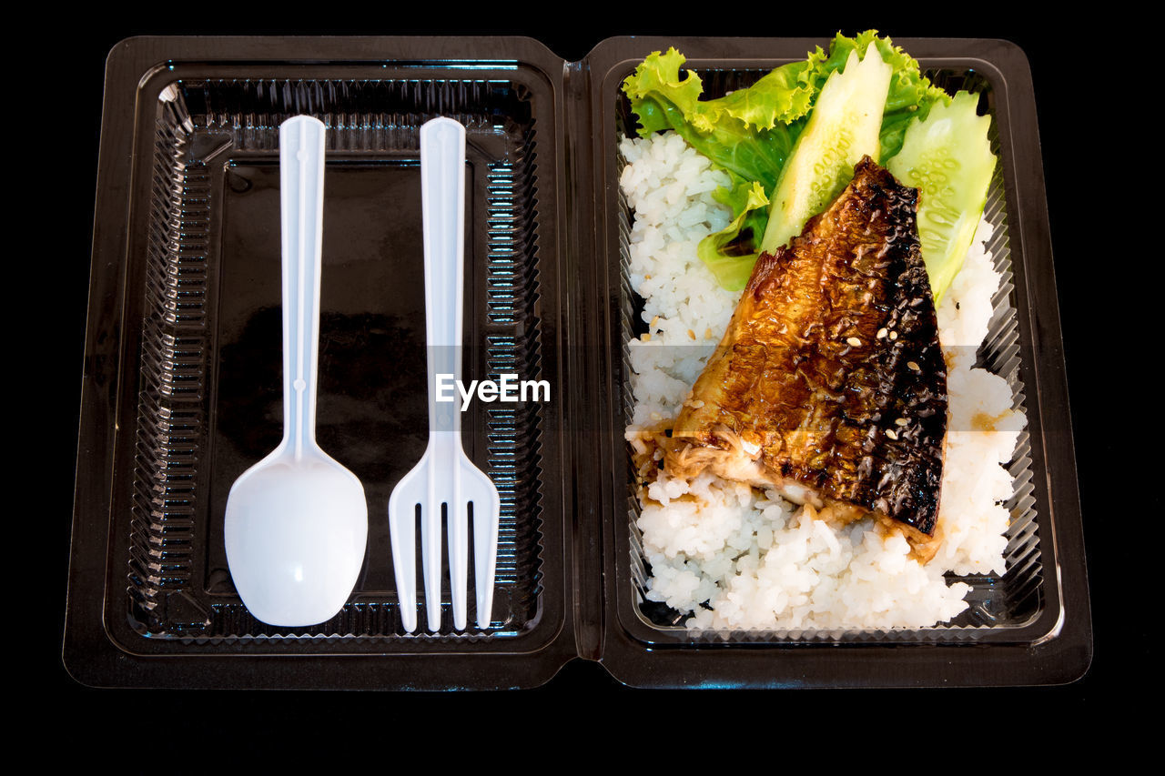 Food in a plastic box, grill fish with rice and vegetables