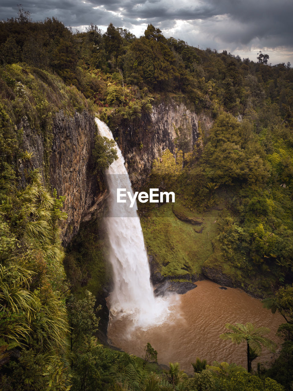 WATERFALL IN A FOREST