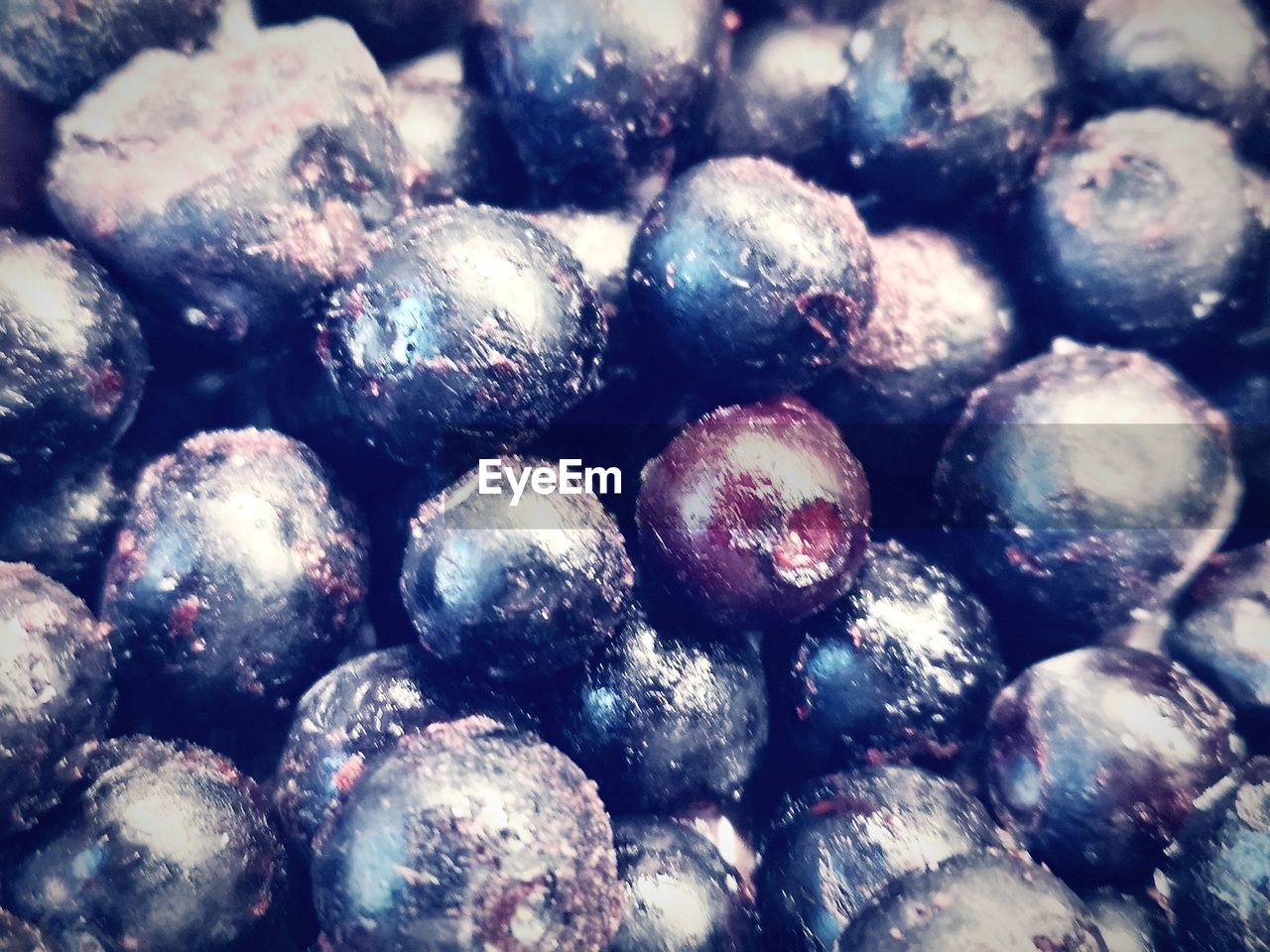 DETAIL SHOT OF BLUEBERRIES