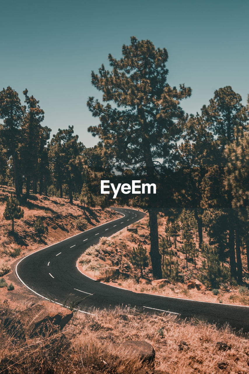 Road amidst trees against clear sky