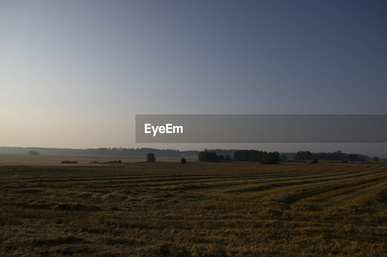 Scenic view of agricultural field against clear sky