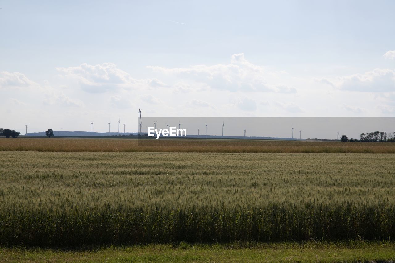 environment, landscape, sky, field, agriculture, plain, land, rural scene, environmental conservation, horizon, plant, nature, power generation, wind turbine, rural area, turbine, wind power, prairie, cloud, renewable energy, beauty in nature, farm, grass, crop, cereal plant, scenics - nature, grassland, social issues, marsh, growth, alternative energy, no people, tranquility, polder, day, outdoors, technology, tranquil scene, electricity, sustainable resources, food, non-urban scene, environmental issues, paddy field