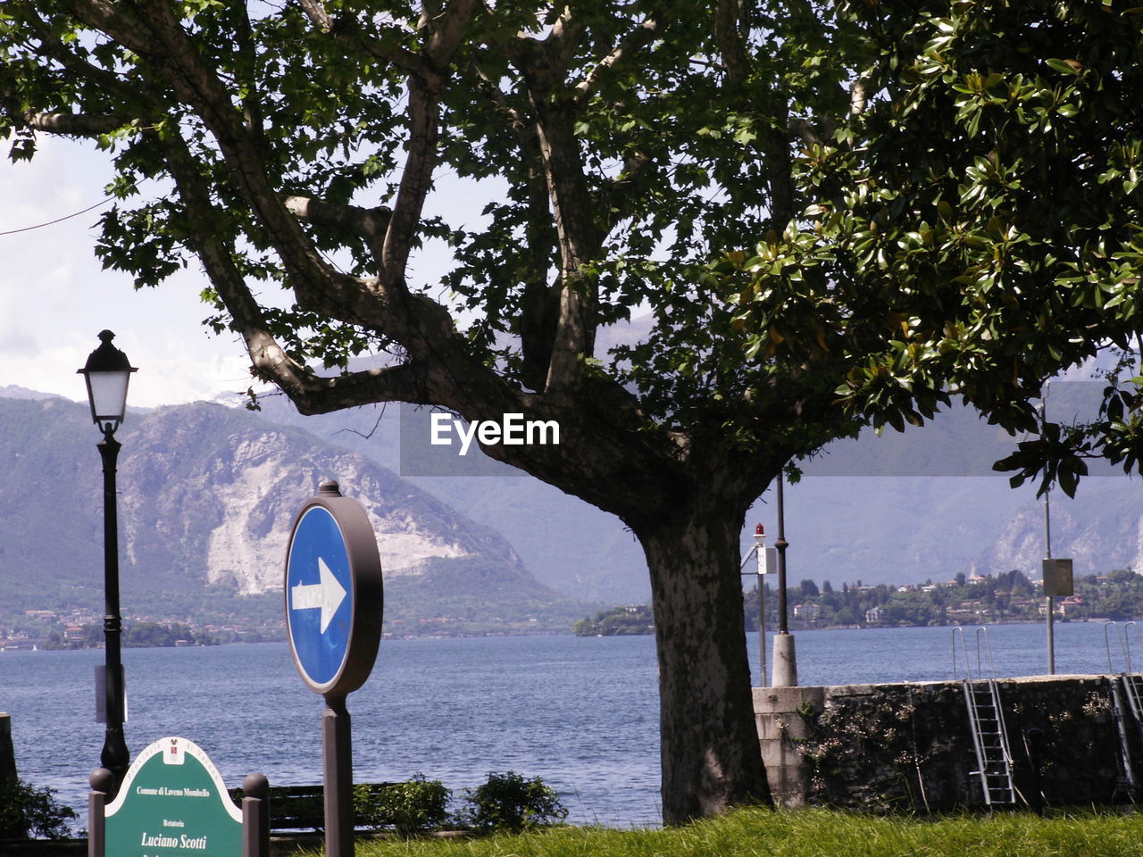 Tree and arrow symbol against lake