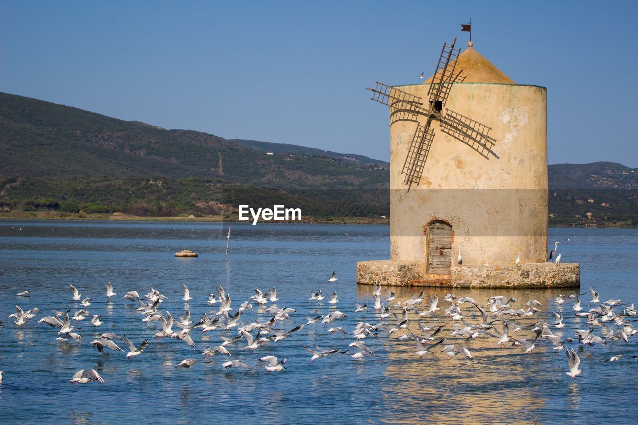 SEAGULLS ON SEA AGAINST MOUNTAIN