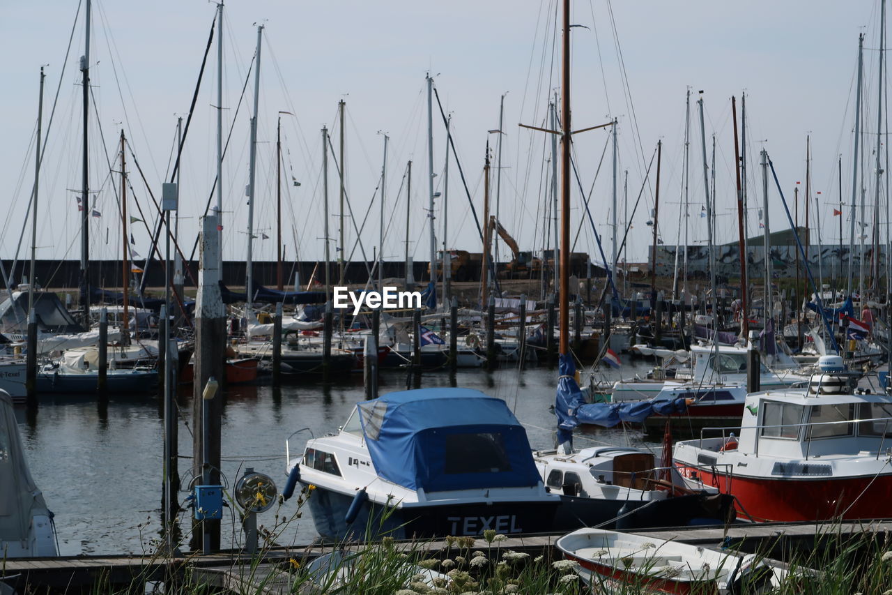 SAILBOATS IN MARINA