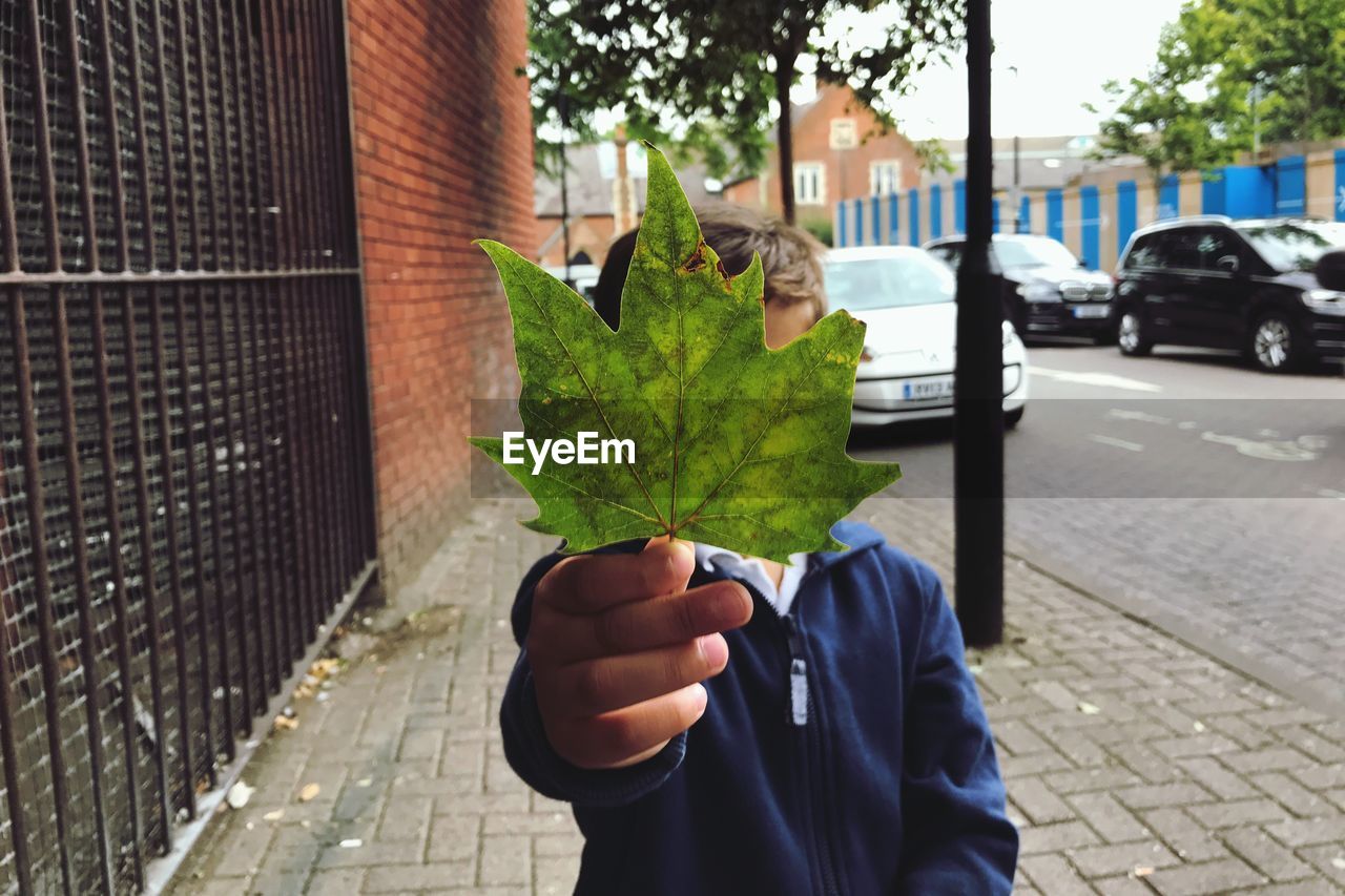 Boy holding maple leaf while standing on sidewalk in city