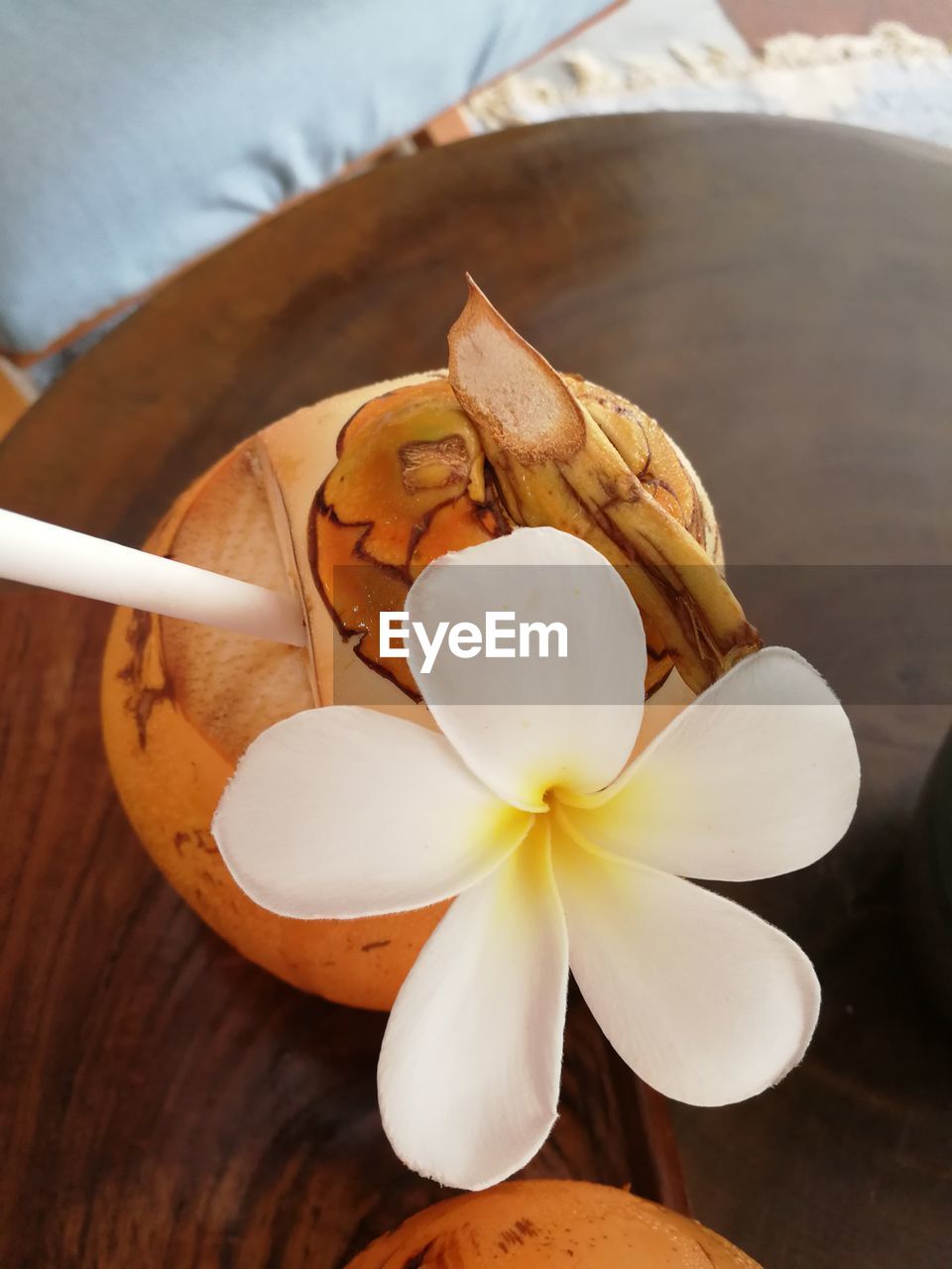 HIGH ANGLE VIEW OF WHITE FLOWERING ON TABLE