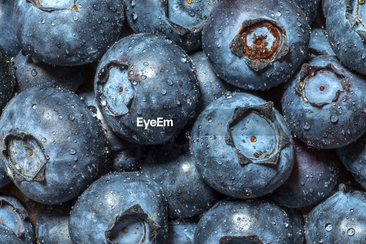 Full frame shot of wet blueberries