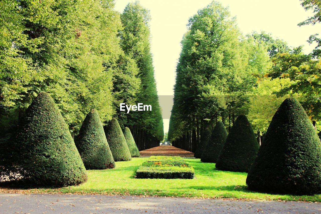 PANORAMIC VIEW OF GARDEN WITH TREES IN BACKGROUND