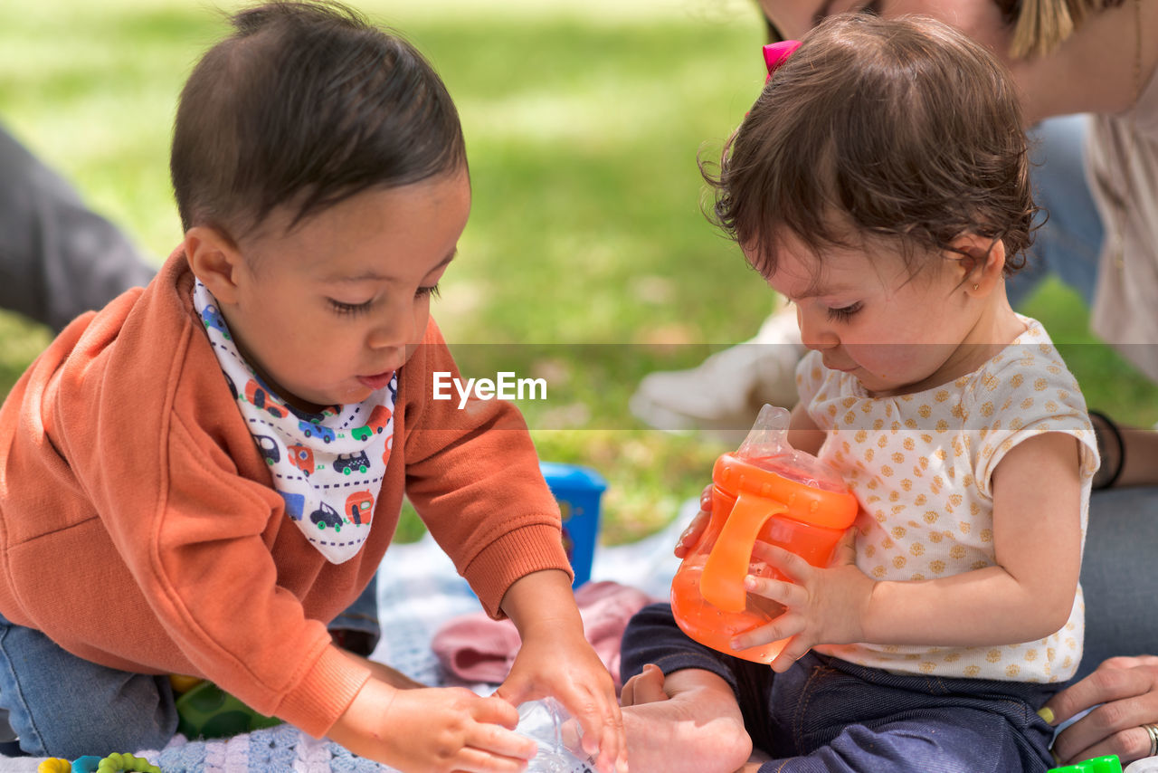 Cute little girl and boy playing with feeding bottle with water while sitting on plaid in park